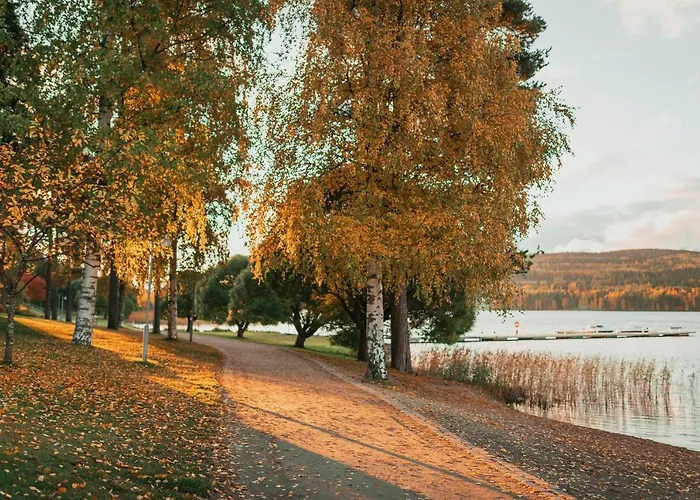 Hotel Club Katinkulta 4*